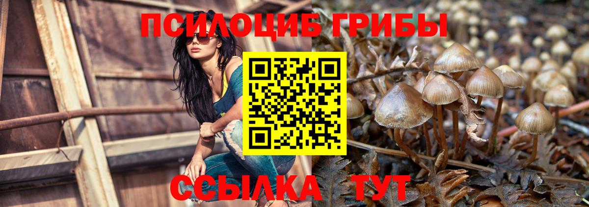 Галлюциногенные грибы GOLDEN TEACHER  Вход с VPN  где купить наркотик  Галлюциногенные грибы GOLDEN TEACHER  Тельмана 